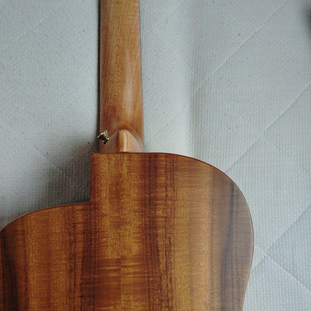 aNueNue （アヌエヌエ）M30　トップ単板、オールアカシアギター