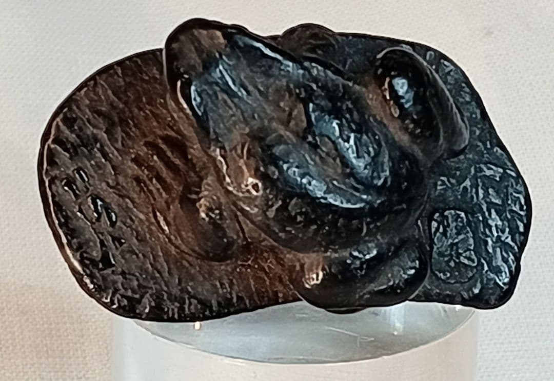 藻水 ? 在銘 銘 判読出来ず 「ぼろ草鞋に 蛙（無事帰る)」 根付 江戸時代