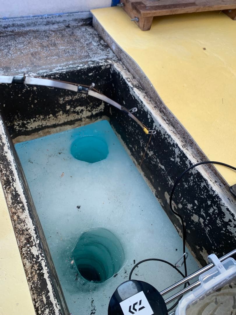 ワカサギステンレス穂先　　２５８ミリ　　２本