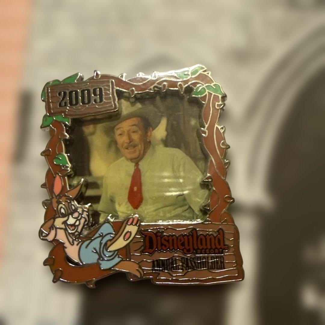 ディズニー Disney ウォルト スプラッシュマウンテン ピンバッジ