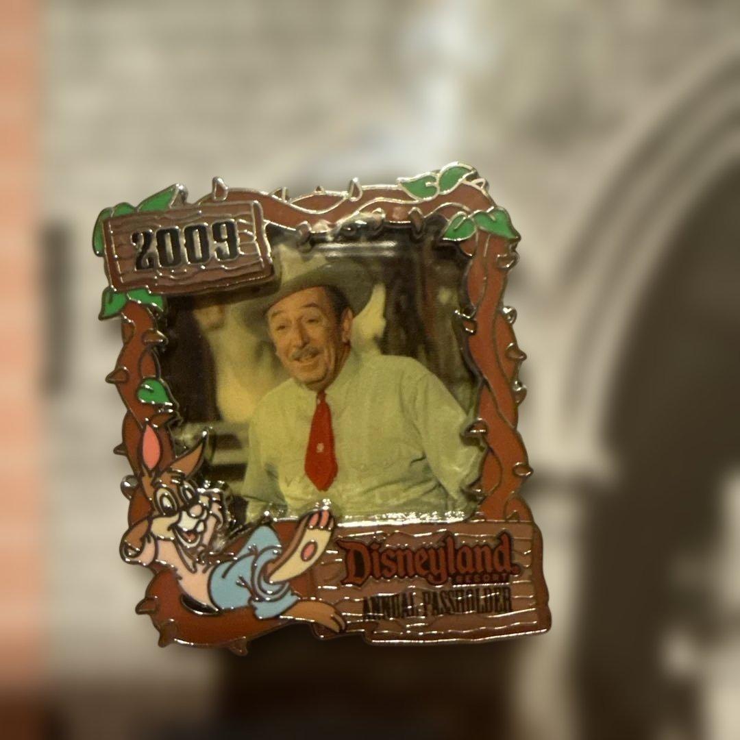 ディズニー Disney ウォルト スプラッシュマウンテン ピンバッジ