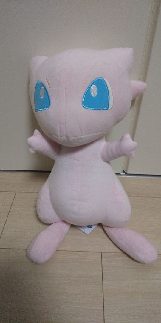 ポケモン ラインストーン40個以上　ぬいぐるみ10種