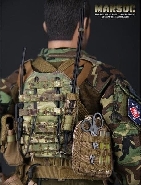 DAMTOYS　MARSOC　TEAM LEDER　78006
