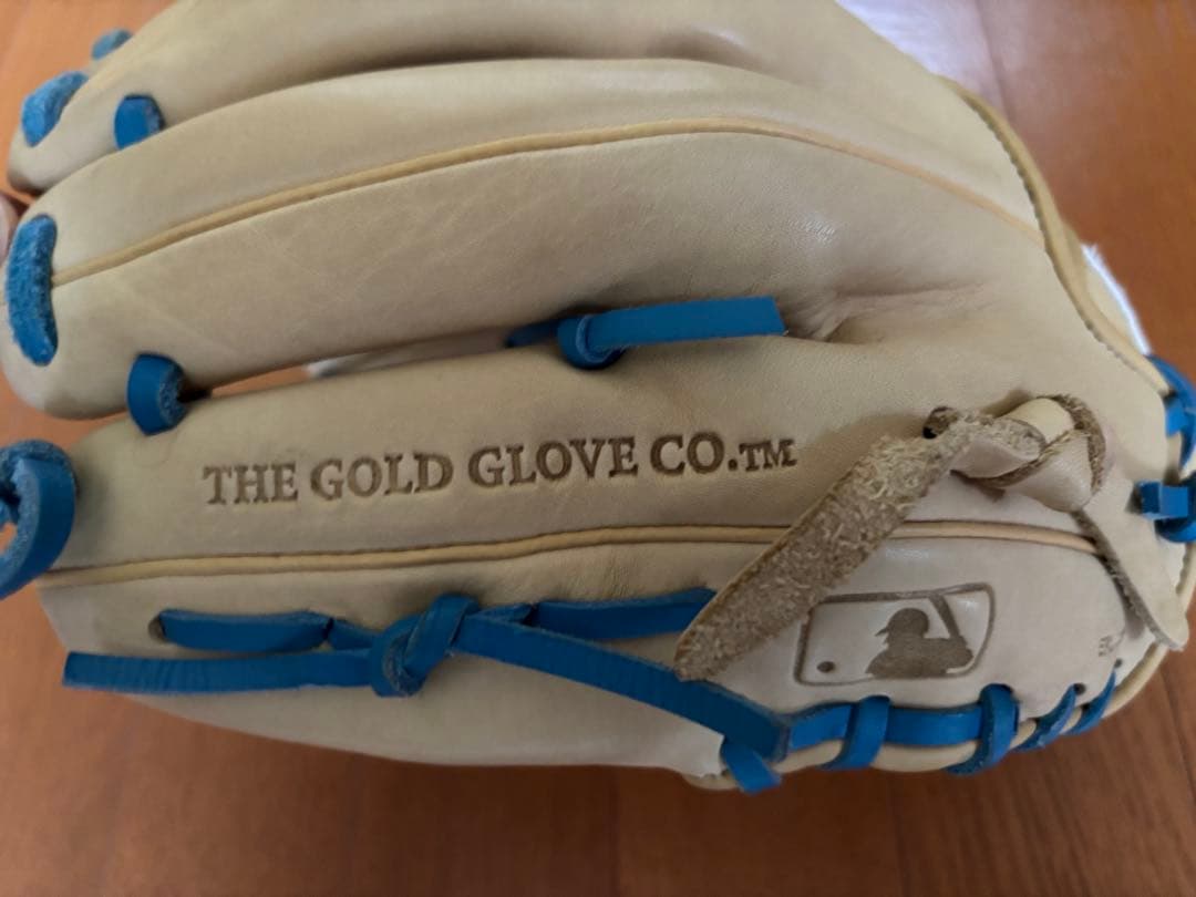 Rawlings 硬式グローブ