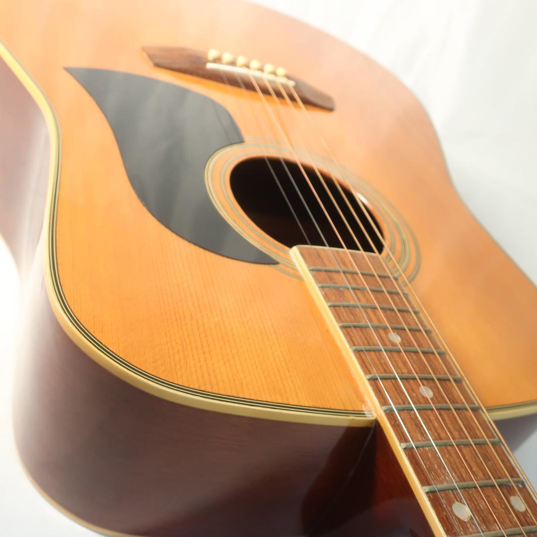 Ariana AW-71 アコースティックギター ケース付 PEヘッドシェイプ