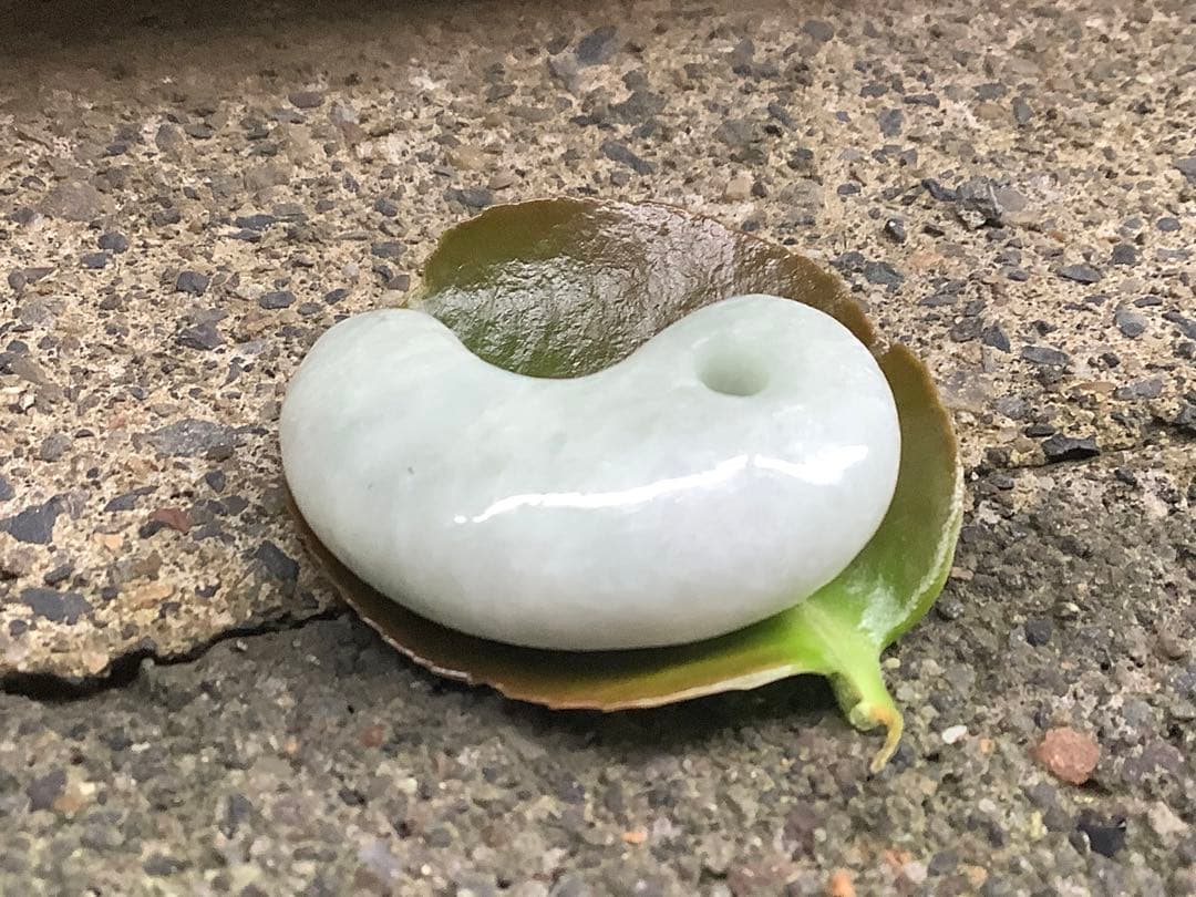 ✳勾玉の王道　糸魚川翡翠勾玉ジェダイト‼️ お身近のお守り守護石に　鑑別書付本物‼️