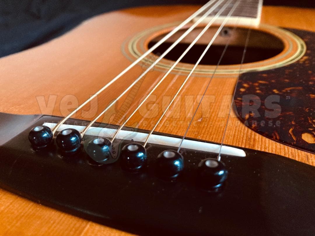 ギター TREE of LIFE* JAGARD TERADA MT-400P 1974