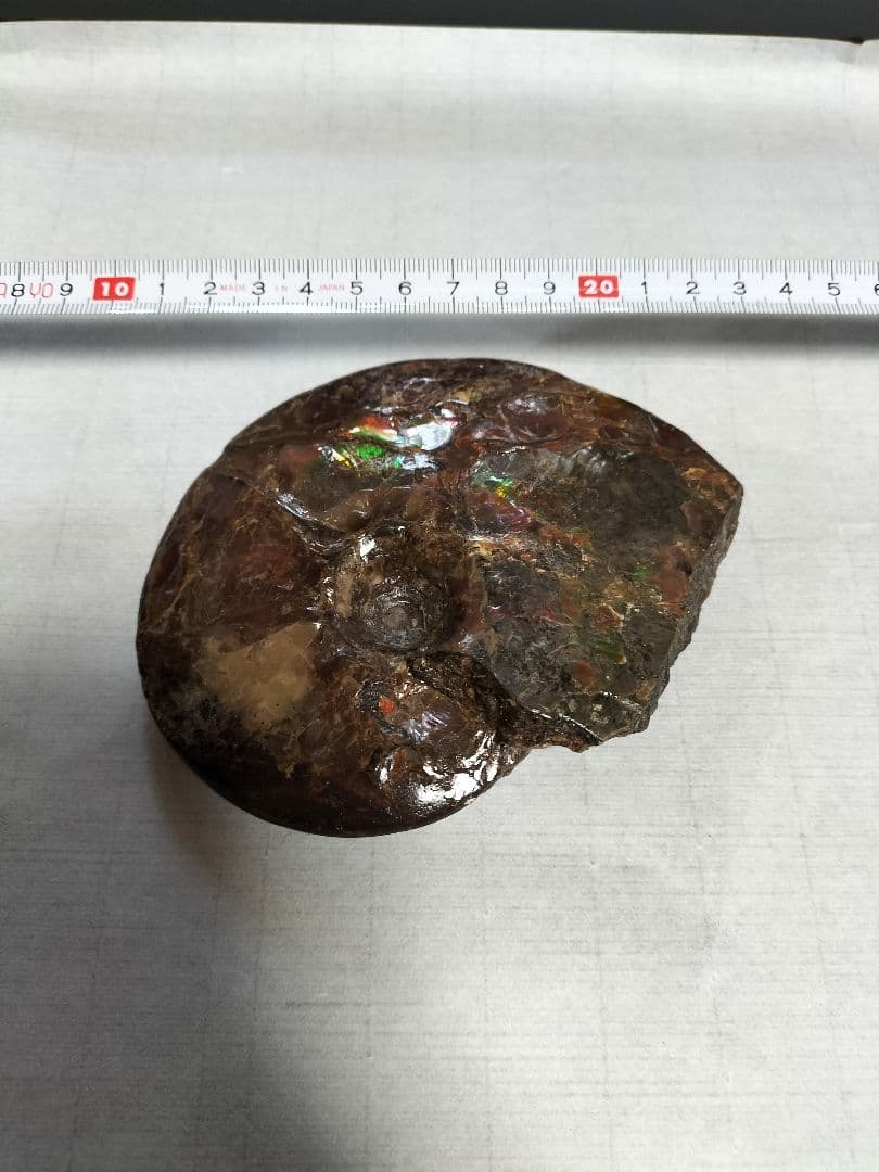 アンモライト原石