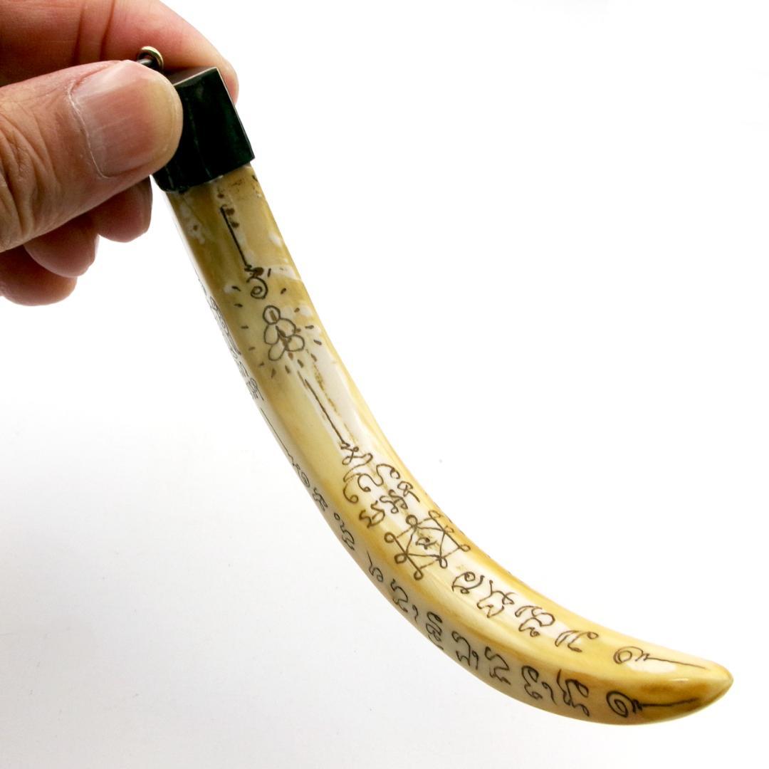 タイ お守り Khiaw Hmoo Dtan Gae Suea 猪牙 Yant