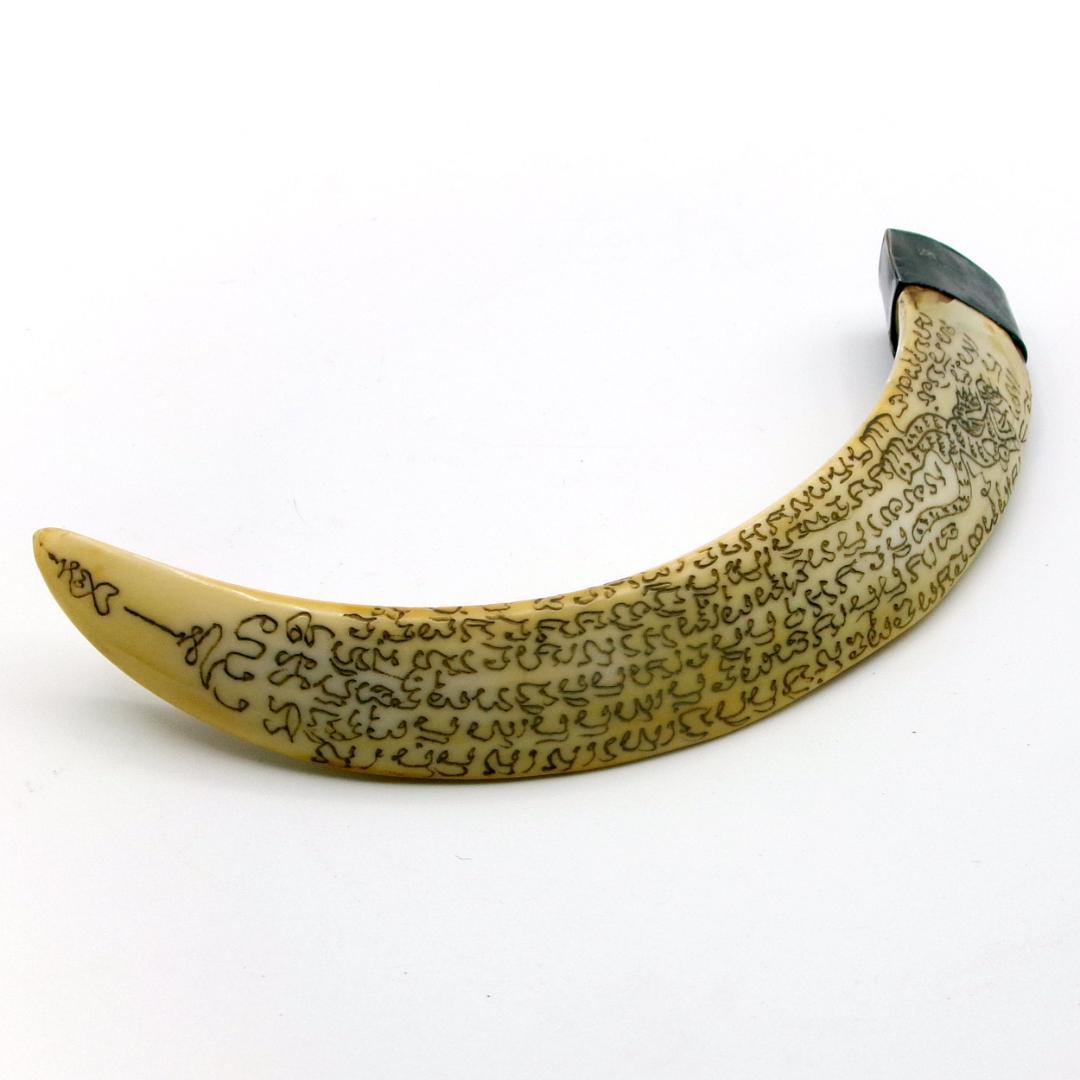 タイ お守り Khiaw Hmoo Dtan Gae Suea 猪牙 Yant