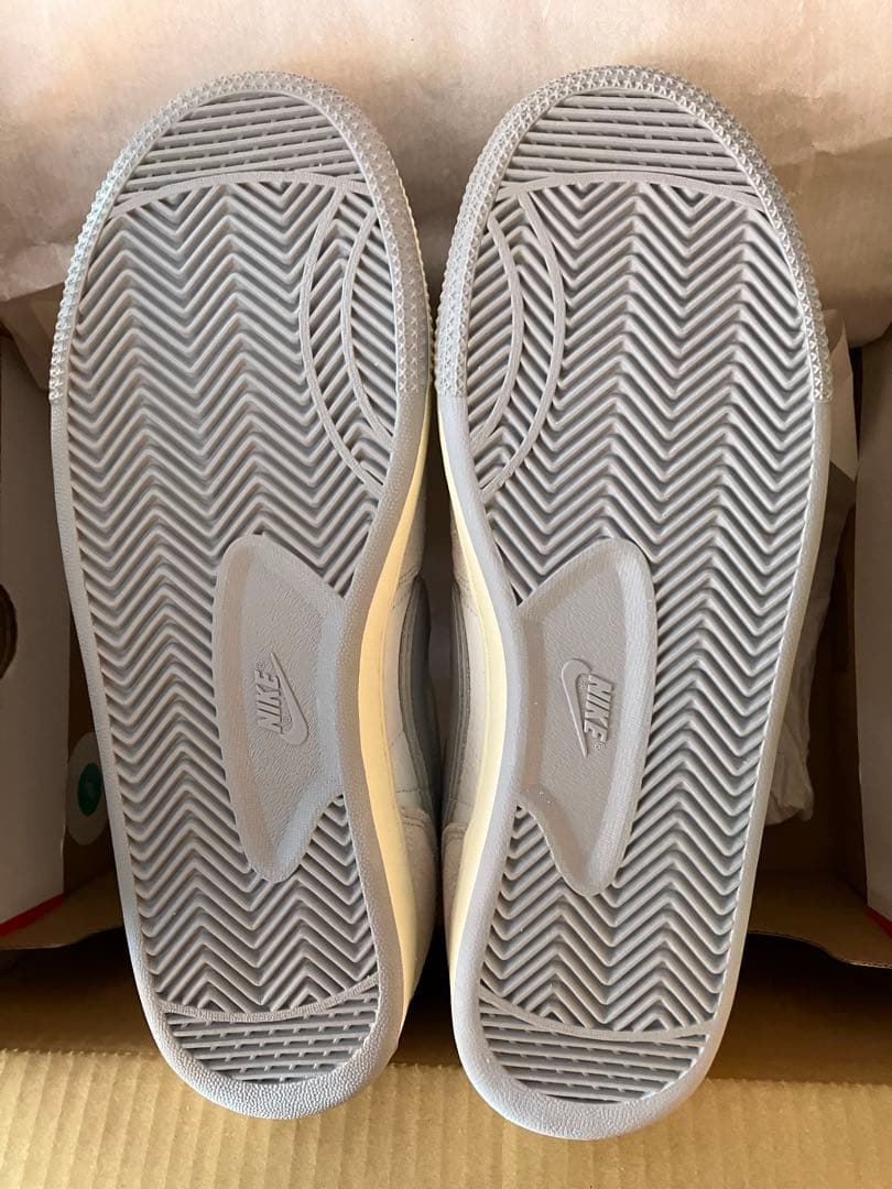 シューズ(男性用) NIKE Terminator Low Paris Liberte 29 11