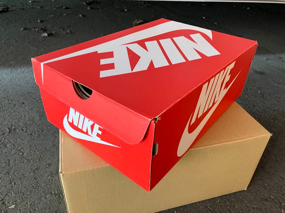 シューズ(男性用) NIKE Terminator Low Paris Liberte 29 11