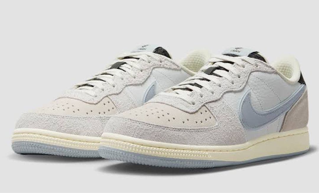 シューズ(男性用) NIKE Terminator Low Paris Liberte 29 11