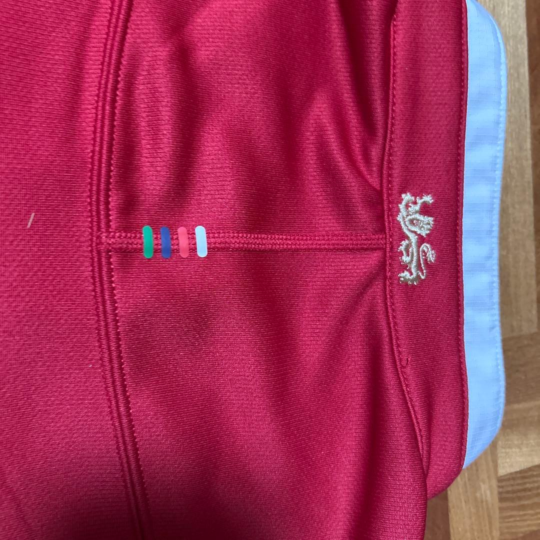 British & Irish Lions ライオンズ Mサイズ