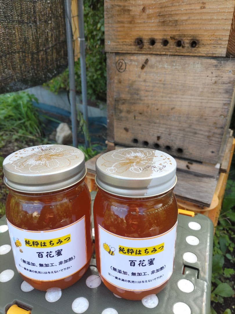 純粋はちみつ　日本蜜蜂の百花蜜　１年熟成　550ｇ✕2本（1.1kg）