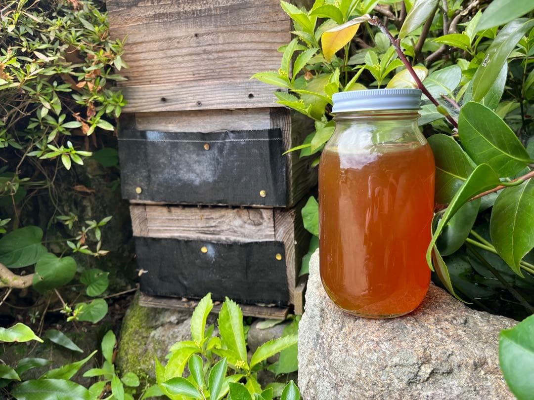 日本ミツバチ蜂蜜☆1200g×2