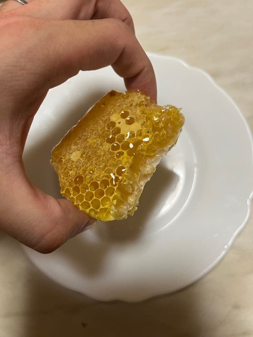 日本ミツバチ蜂蜜☆1200g×2