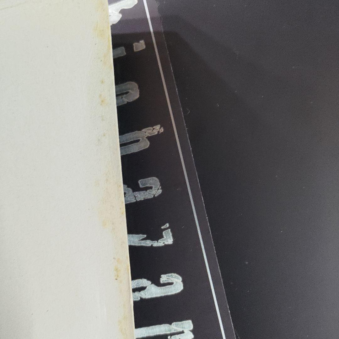 バイオハザードDE50AEレオンカスタム