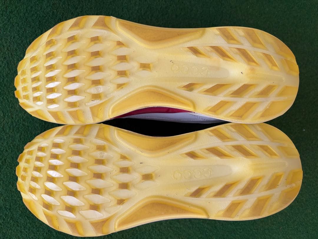 ECCO GOLF BIOM C4 ホワイト 43