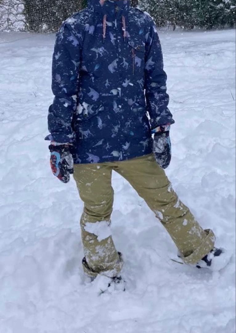 スノボ　ウェア　ロキシー　ジャケット　パンツ　エスケープ　上下セット　アニマル