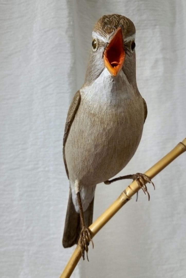 バードカービング　オオヨシキリ