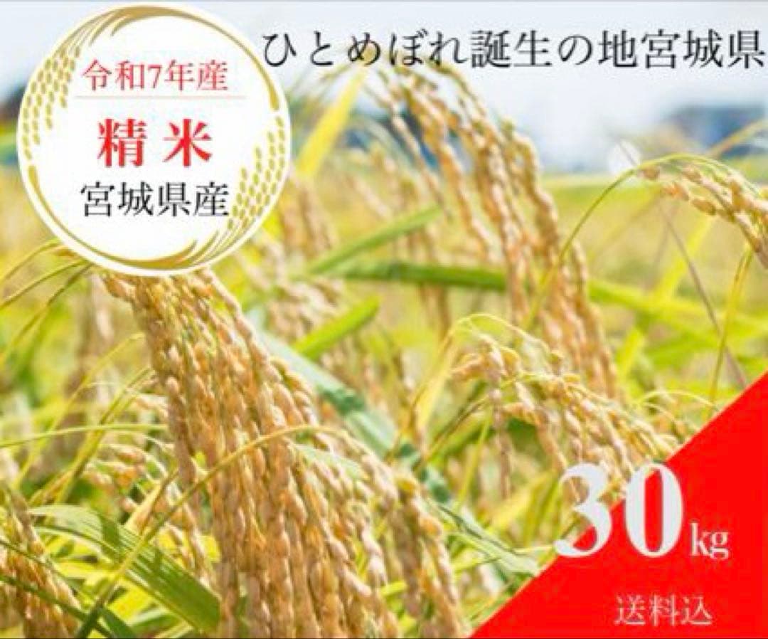 【精米無料】宮城県産 ひとめぼれ30kg 令和7年産新米　農家 農業 うまい