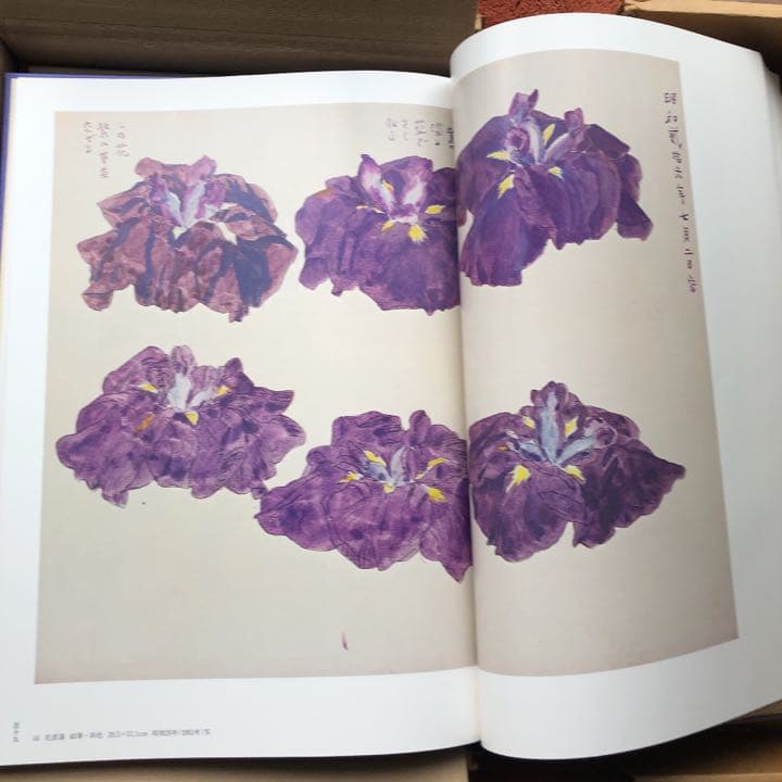 福田平八郎 作品と素描