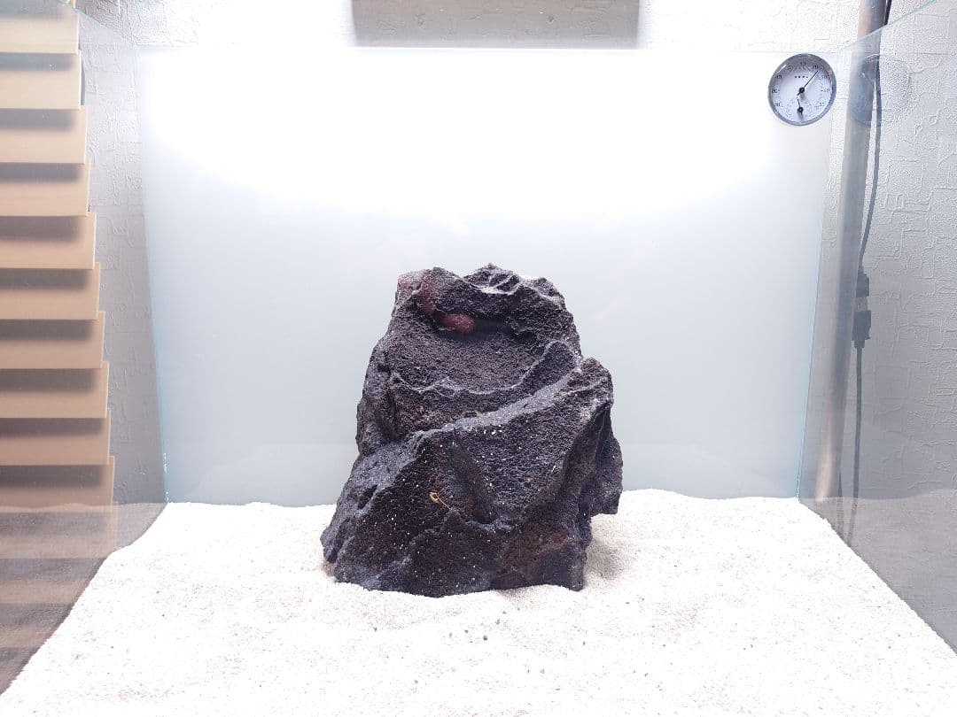 ADA 山水石セット約19キロ（箱含む）　DOOA　パルダリウム　テラリウム