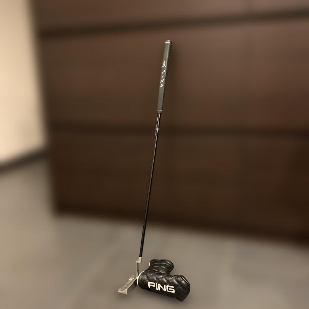 ピン2024パターANSER D