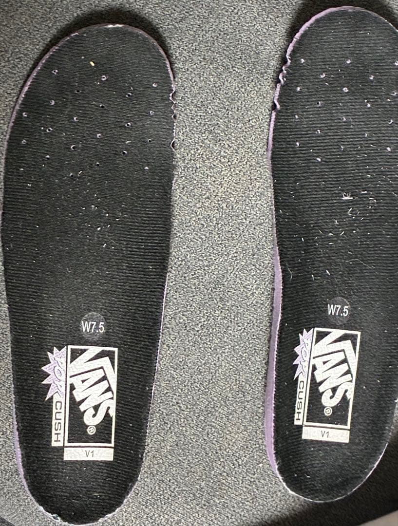 Vans スノーボードブーツ BOA 24.0