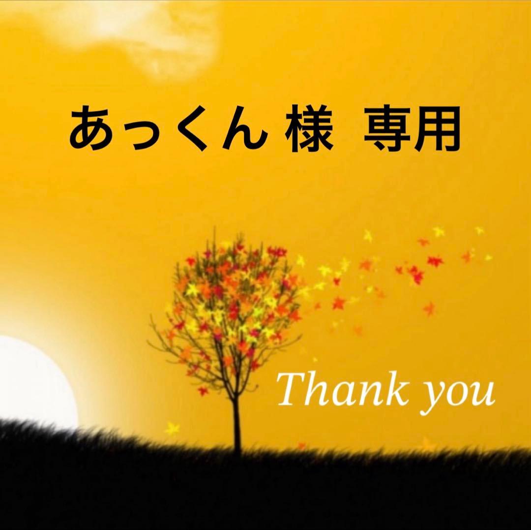 八女茶特上煎茶 50袋セット お茶葉 緑茶 国産 特上煎茶 お茶 八女茶