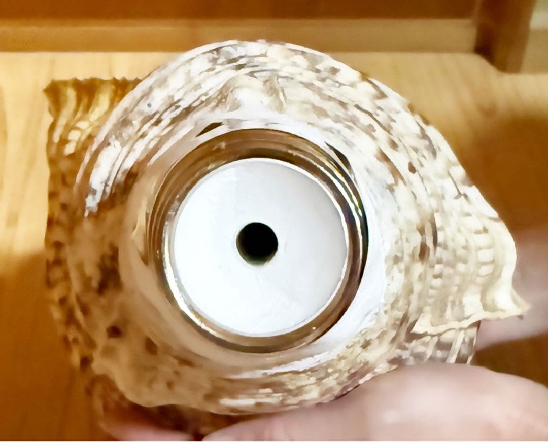 特大43㎝修験道法螺貝　山伏　密教　魔除け　熊よけ❣️ホラガイ　ほら貝