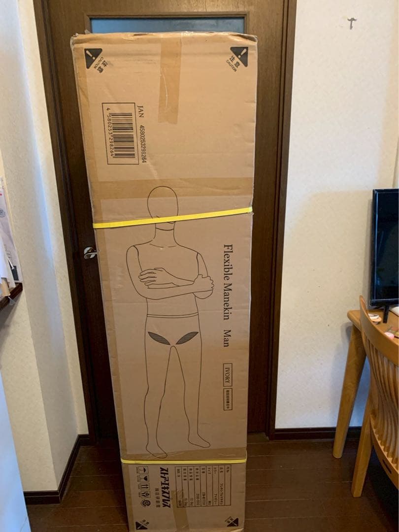 フレキシブルマネキン 成人男性用 アイボリー