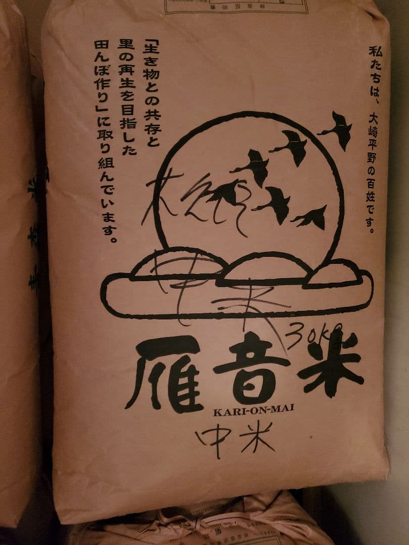 令和7年度 新米 中米 山形県産 つや姫玄米30㎏
