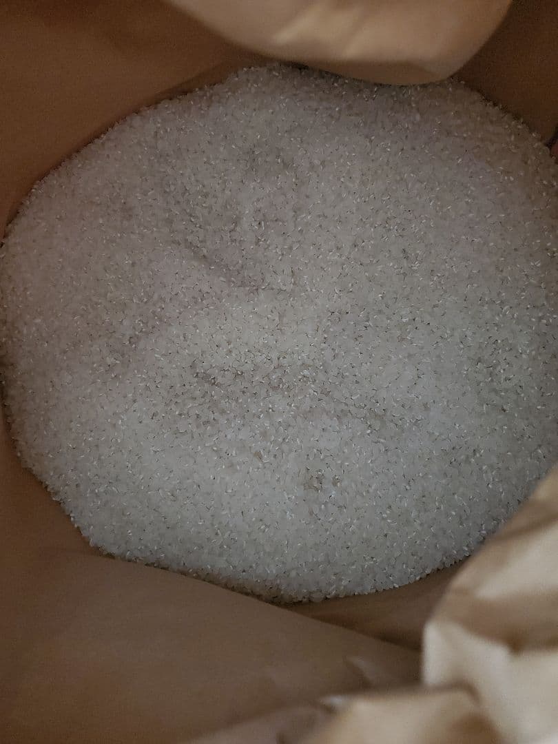 令和7年度 新米 中米 山形県産 つや姫玄米30㎏