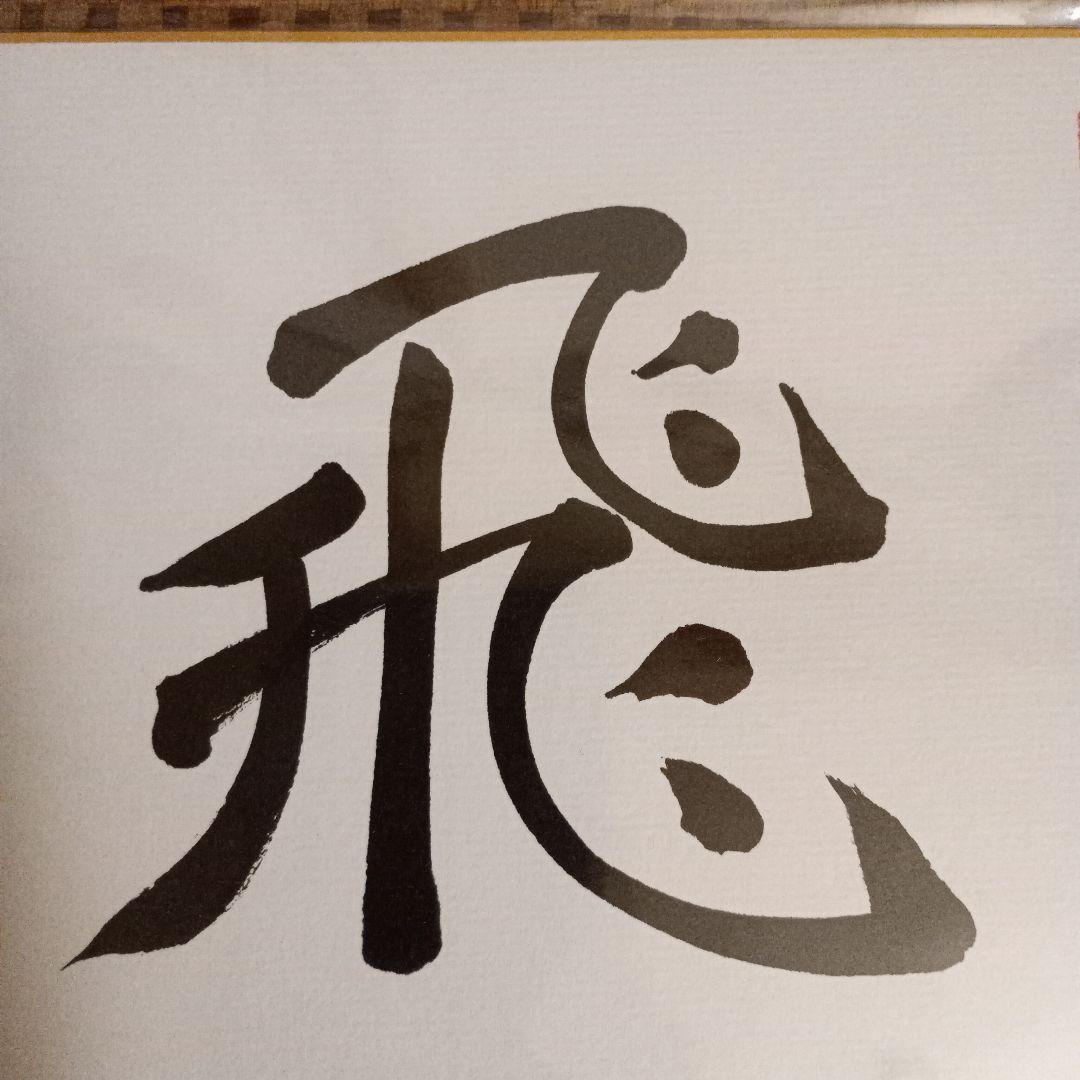 藤井聡太竜王 竜王位 直筆揮毫色紙 サイン 飛翔 永世竜王