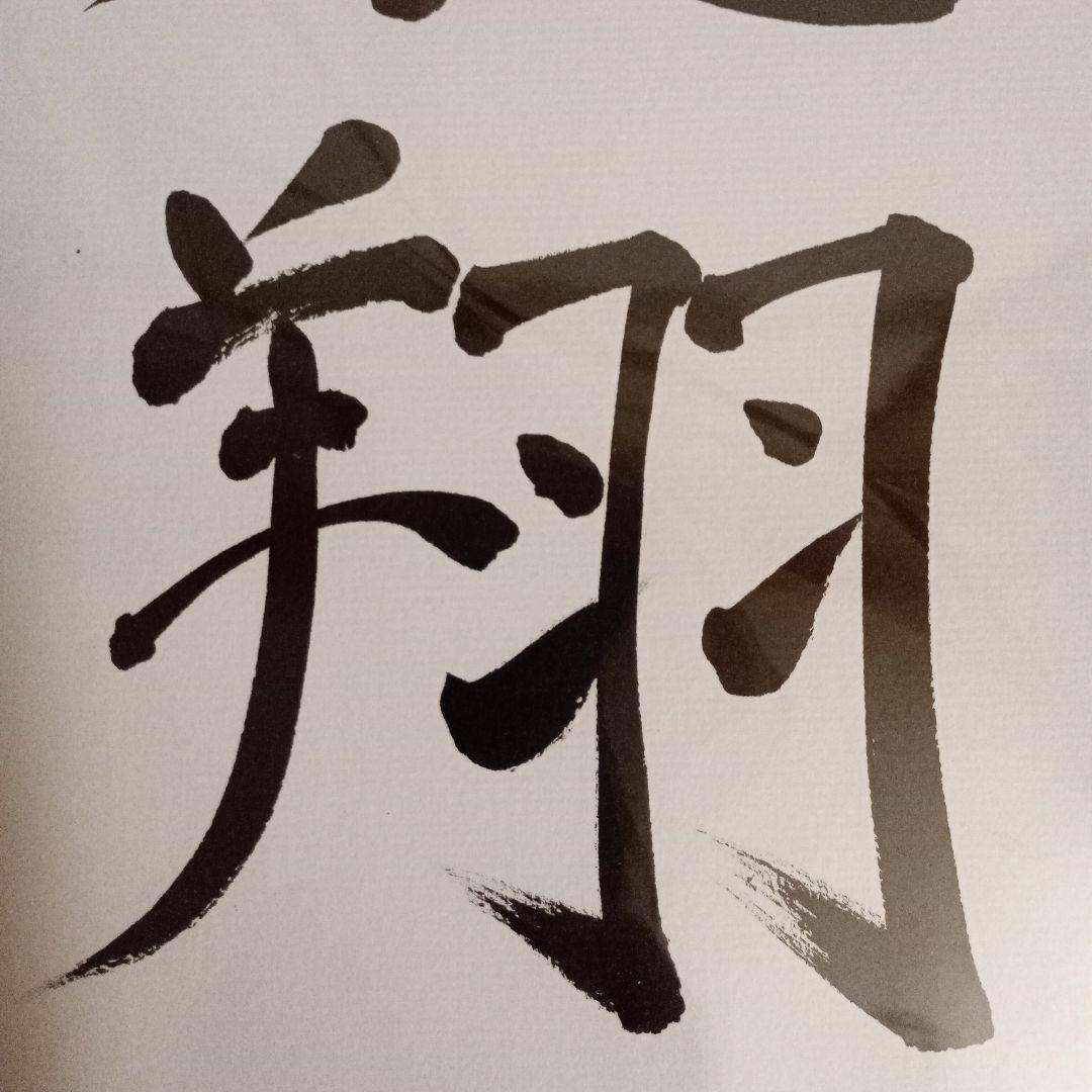 藤井聡太竜王 竜王位 直筆揮毫色紙 サイン 飛翔 永世竜王