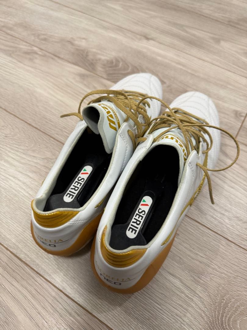 希少　モレリア neo2 28.0