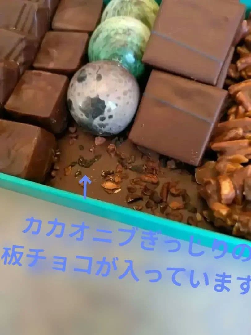 パトリックロジェ　ショコラ詰め合わせ　370g　 フランス　チョコ