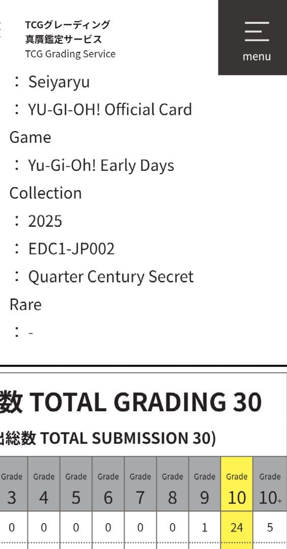 ホーリーナイトドラゴン　鑑定品