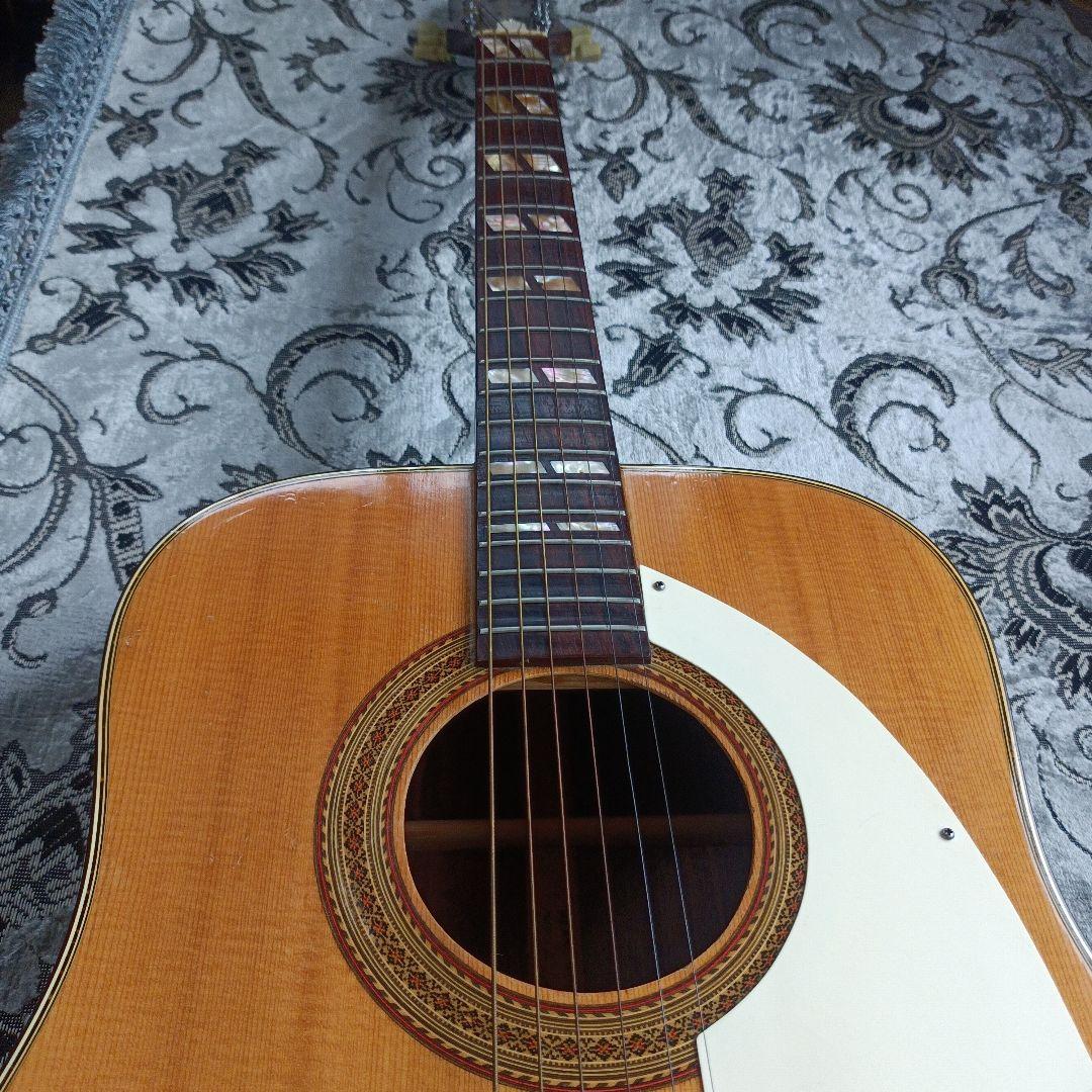 Pearlパール Epiphone TEXAN モデル 林楽器 百瀬さん レトロ