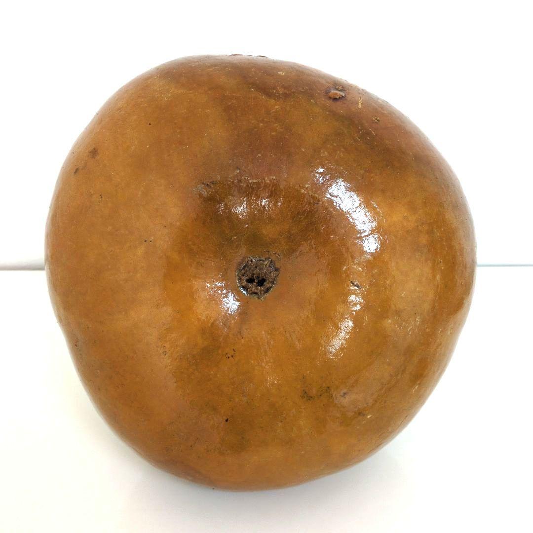 イプヘケオレ　フラ楽器　イプ　フラダンス