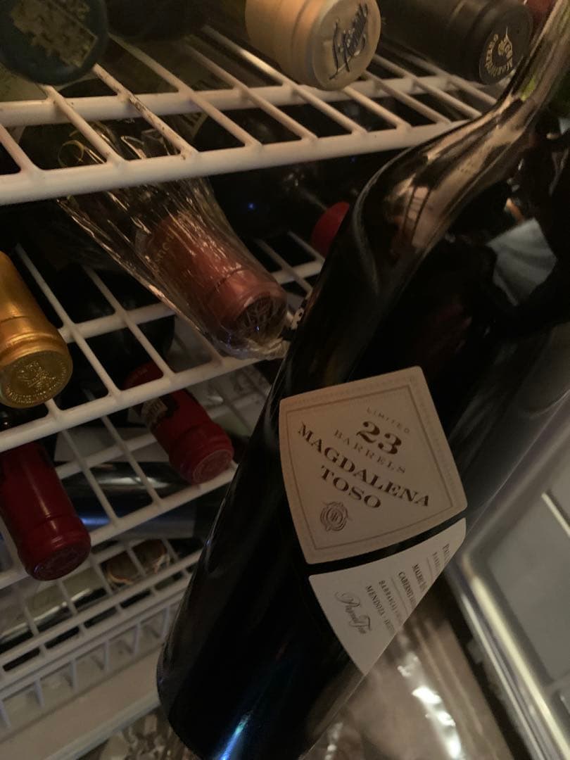 マグダレナ トソ アルゼンチン 2015