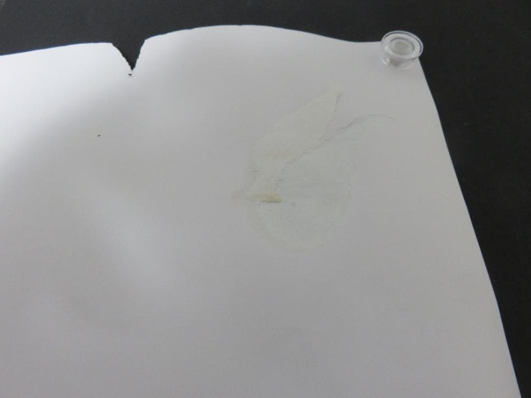 中古■めぞん一刻■中吊り■ポスター■高橋留美子■ビッグコミックスピリッツ■小学館