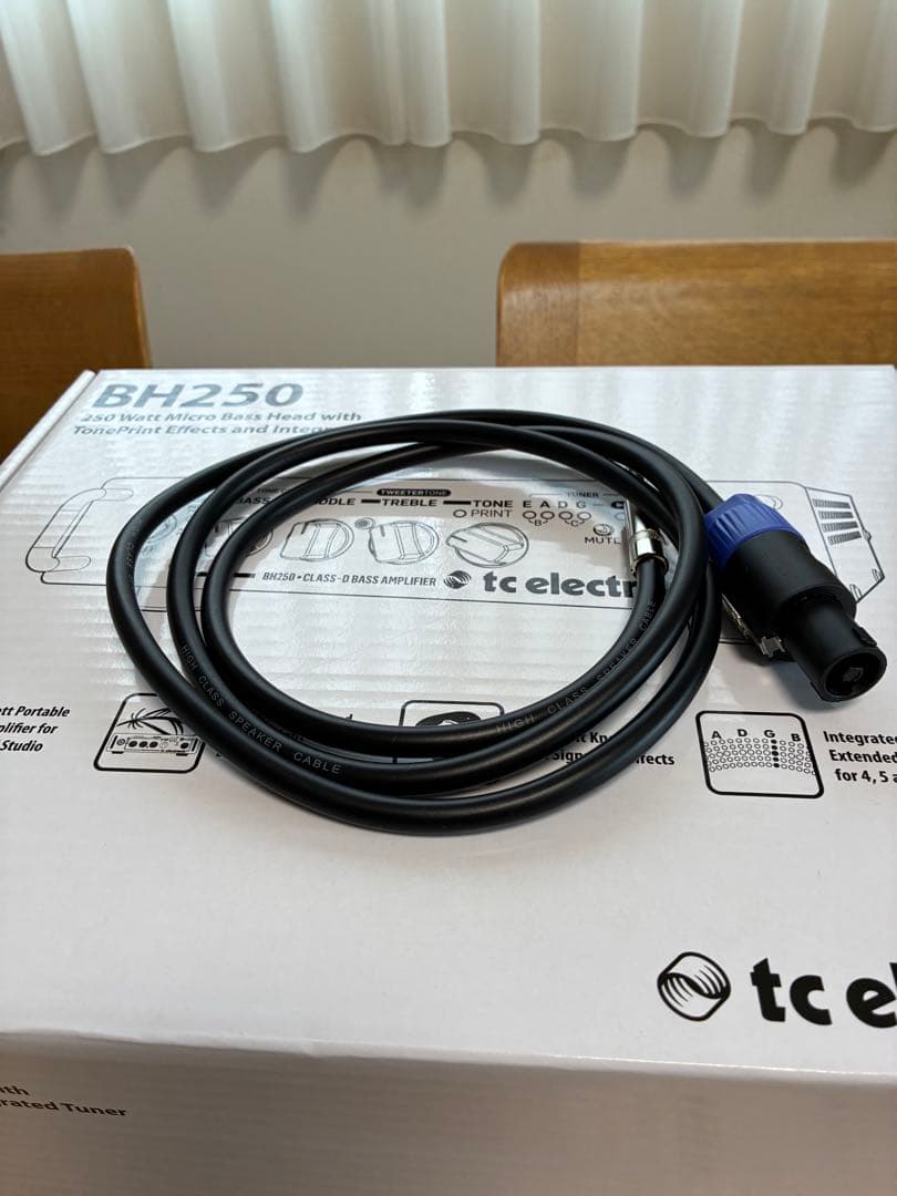 tc electronic ティーシーエレクトロニック BH250 アンプヘッド