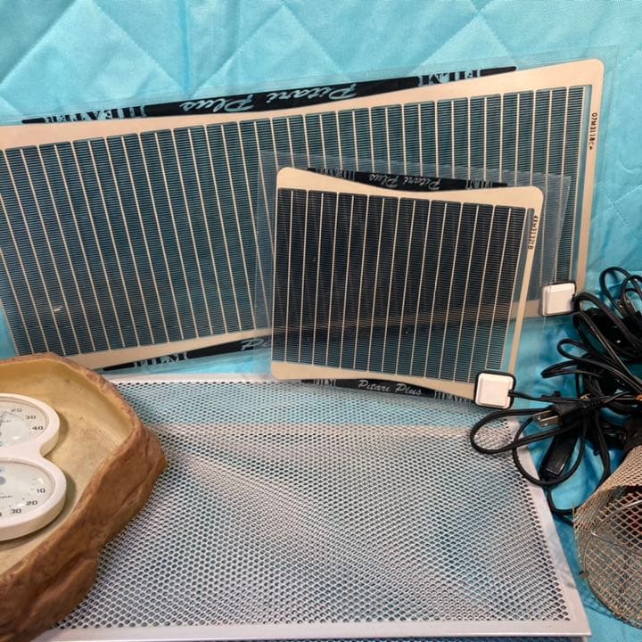 爬虫類　ゲージなど全てセット