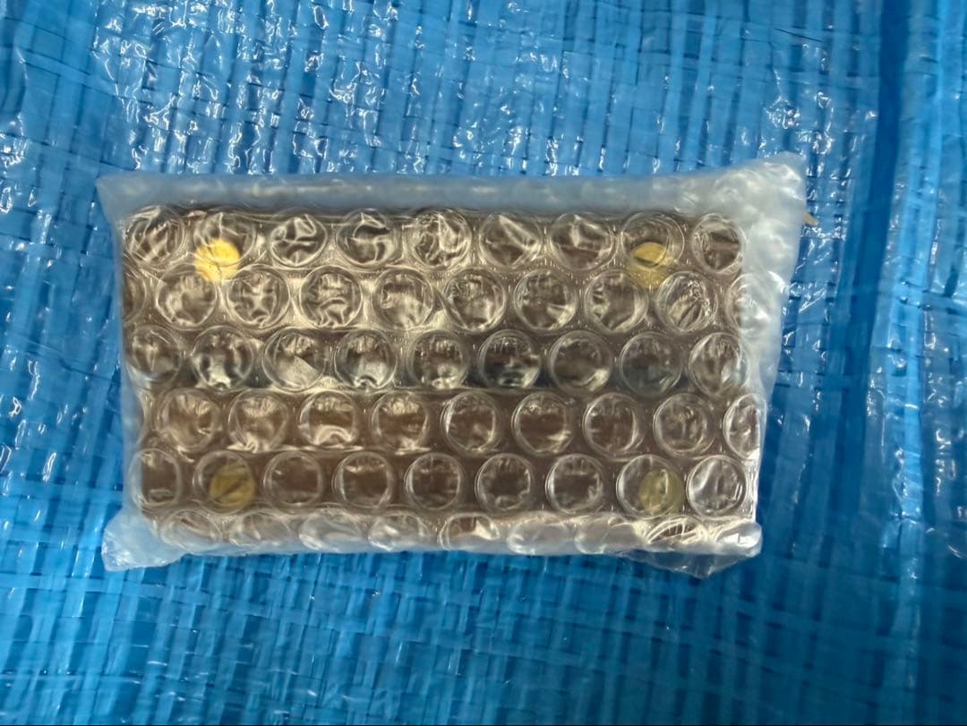 ウォンキーキャンプ WANTKEY GP-SC