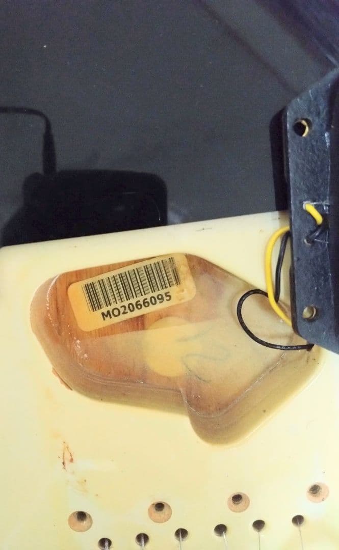 フェンダーメキシコ クラシック50sシリーズ × Squierシルバーシリーズ