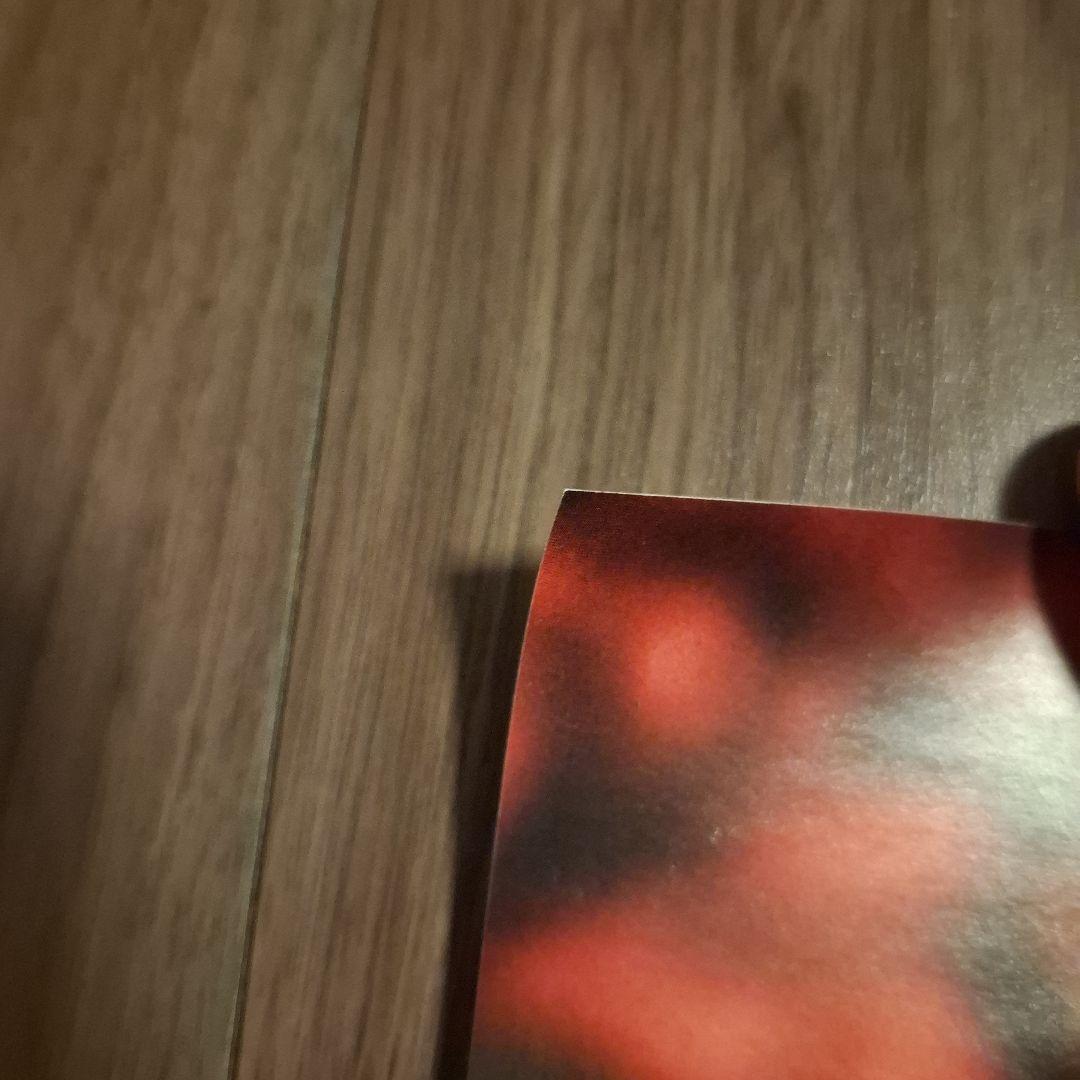 Acid Black Cherry アシッドブラックチェリー 2012 ポスター