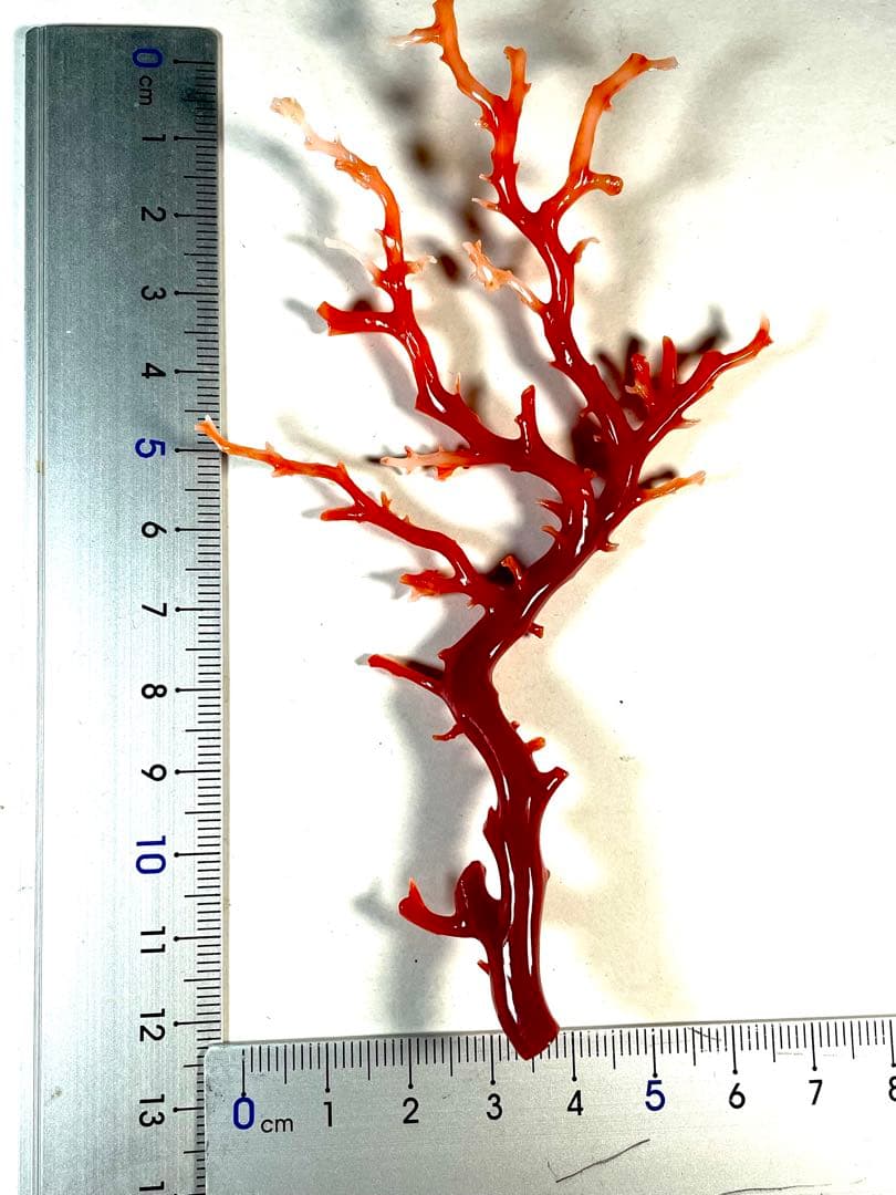 タ*キ様 天然赤珊瑚 枝ルース 約10cm 高知県産　#ー02